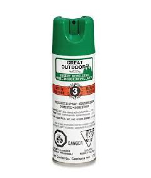 Great outdoors Spray 10% 3heures 175g