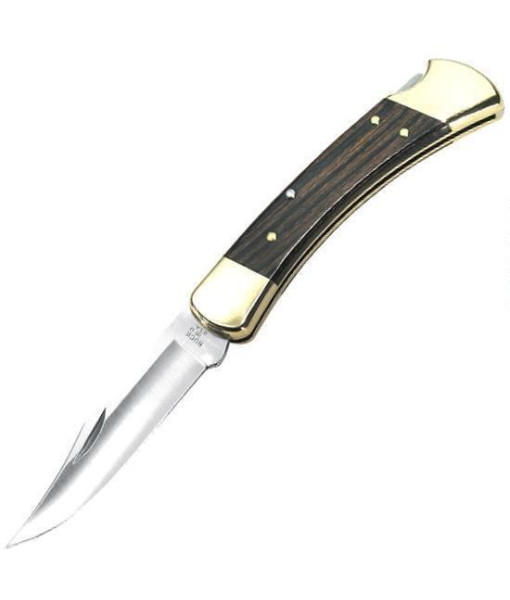 Buck Knives 110 Folding Hunter