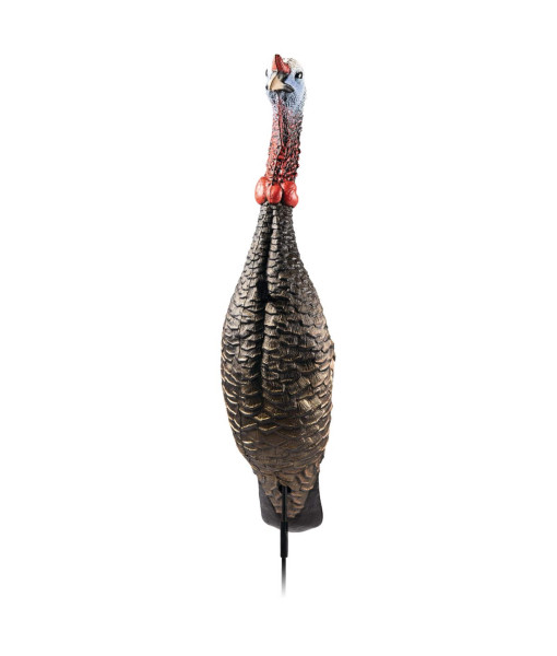 FLEXTONE FUNKY CHICKEN