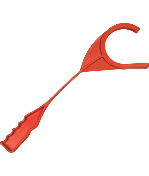 Champion Lance Pigeon Manuel