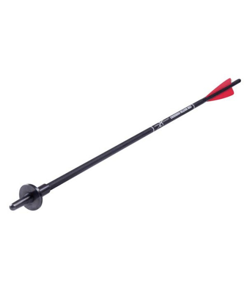 Carbon Express Fleche de dechargement