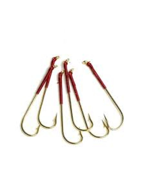 Etic Hamecon Carlisle #8 bronze