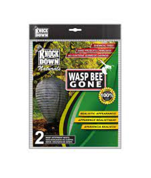 Wasp ,sans Chimique,(2)