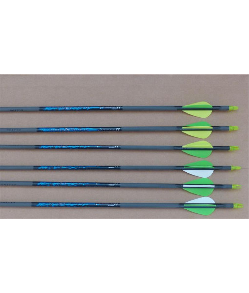 Carbon Express Prédator 4560