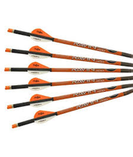 Ravin 20'' 400gr .003 6un