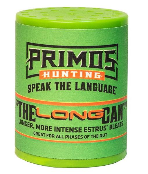 Primos The long Can Femelle En Chaleur