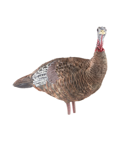 AVIAN-X LCD LOOKOUT HEN