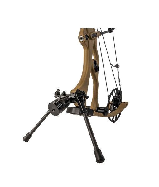 Hoyt Go Stix 2.0