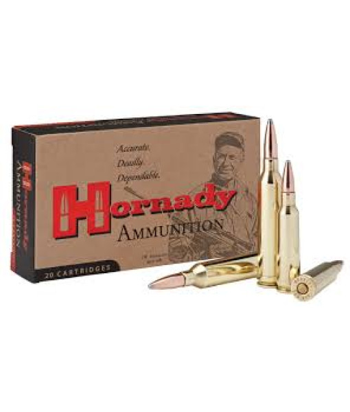 HORNADY 250 SAVAGE 100GR INTERLOCK