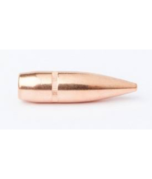 Cam Pro 308 147gr Fmj SBT 500un