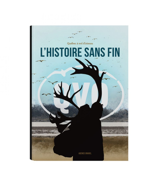 Livre Qvo L'histoire Sans Fin
