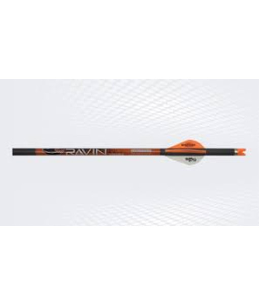 Ravin Fleche Pour Arbalete R500