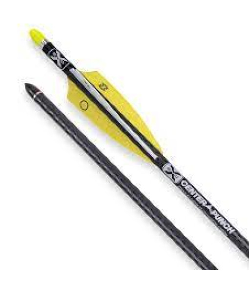 Evo X Centerpunch 20''