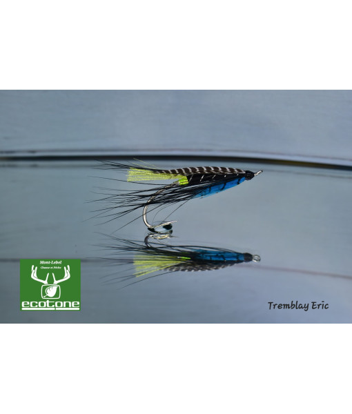 Mouche A Saumon Charmante Bleu