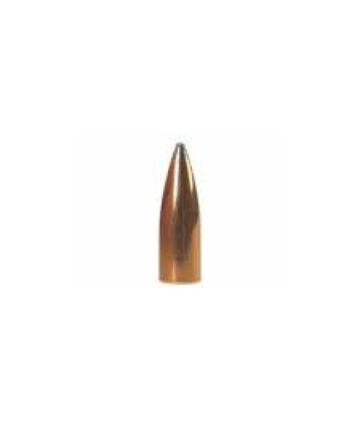 Varmint 22cal 55gr Semi Point