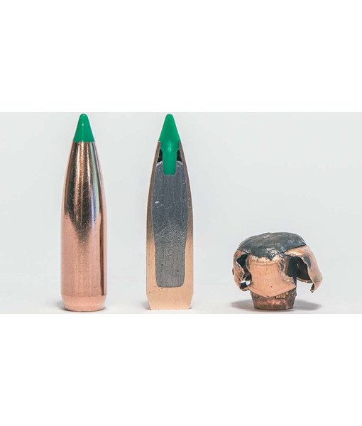 Nosler Ballistic tip .338 Bt 200gr Spitzer (vieille boite)