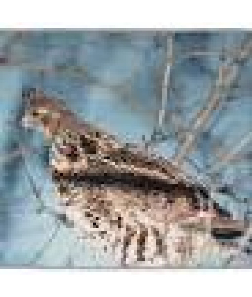 Tapis Perdrix 2' X 3'