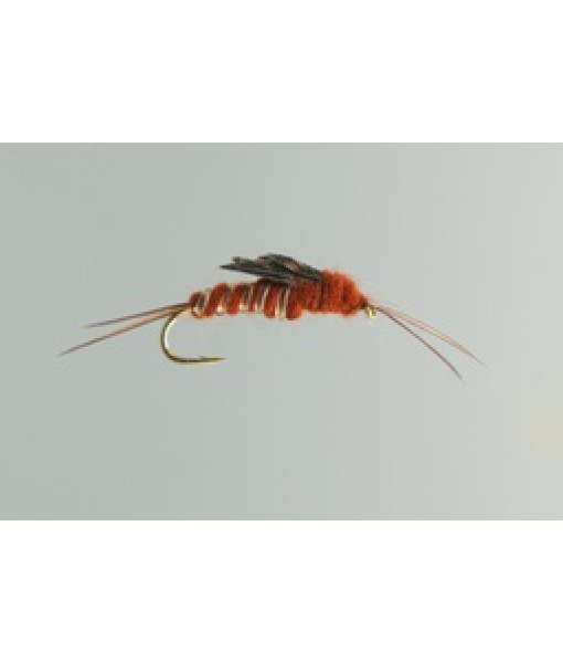 Brown Stone Fly Nymphe