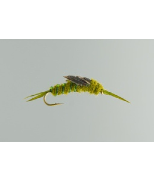 Olive Stone Fly Nymphe