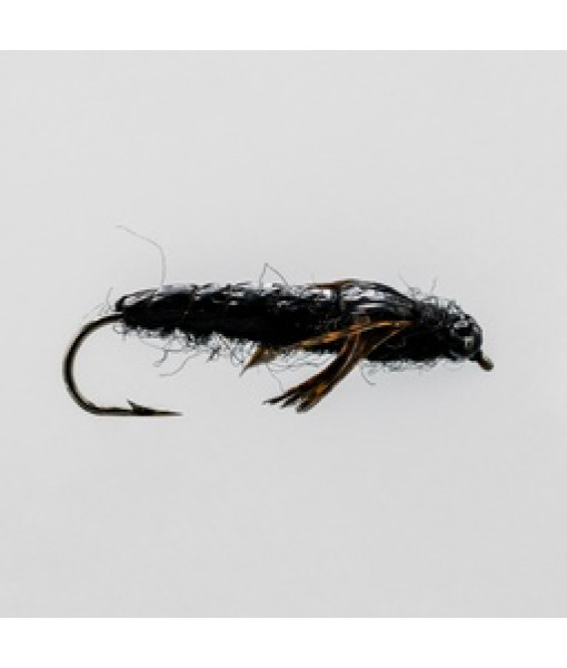 Black Dragon Nymphe