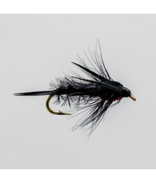 Black Helgramite Nymphe