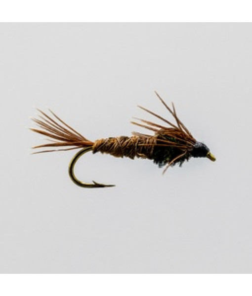 Pheasant Tail Nymphs