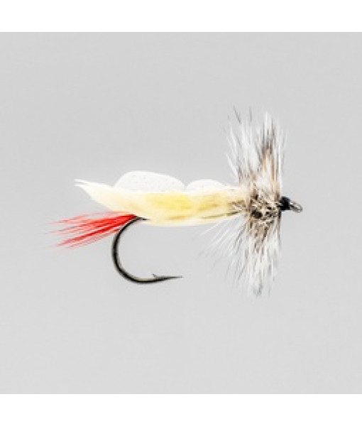 Grey Foam Body Seche