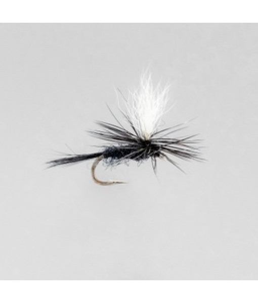 Black Gnat Parachute Seche