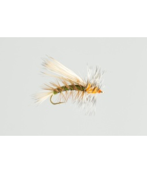 Stimulator Olive Seche