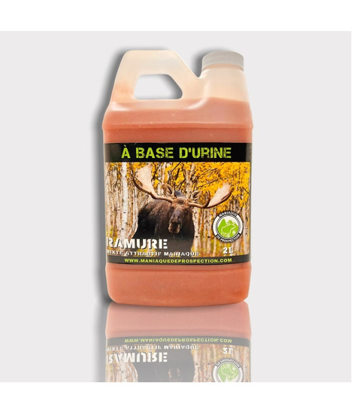 Mixte Attractif Ramure