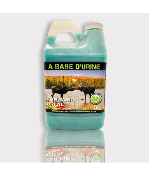 Mixte Attractif Sagittaria Boréal