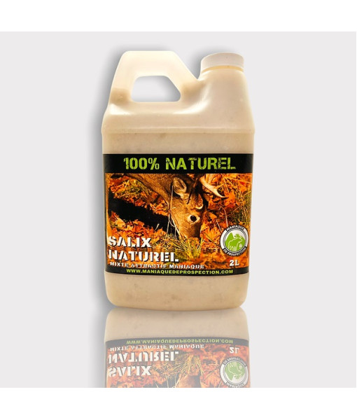 Mixte Attractif Salix Naturel