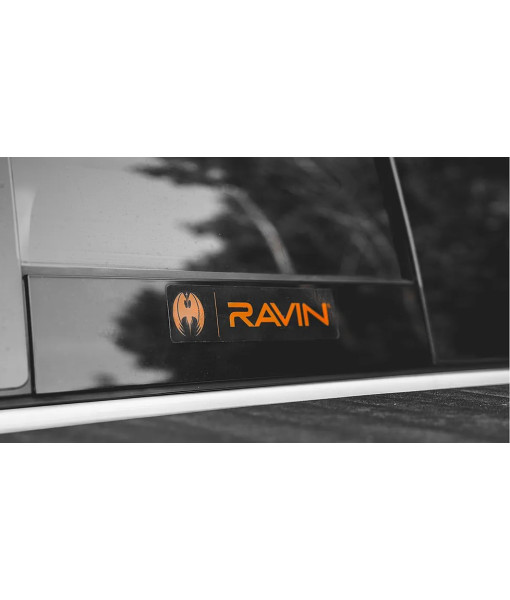 RAVIN WINDOW DECAL R250