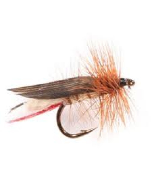 Mouche Truite Sauterelle Jaune