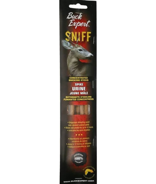 BUCK EXPERT SNIFF JEUNE MALE
