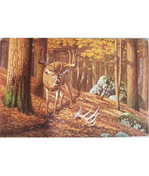 EDC NAPPERON CHEVREUIL 4UN