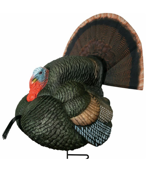 PRIMOS GOBBSTOPPER STRUTTER APPELANT DINDON