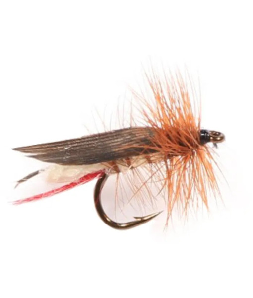 ETIC JOLIETTE HOPPER #12 1UN