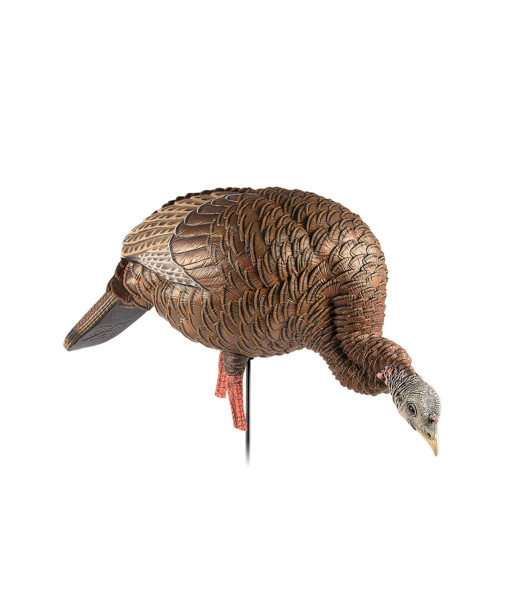 AVIAN-X HDR FEEDER HEN