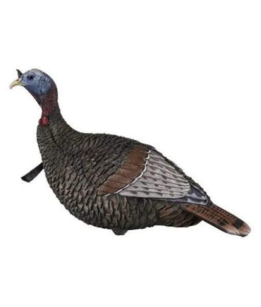 FLEXTONE THUNDER JAKE