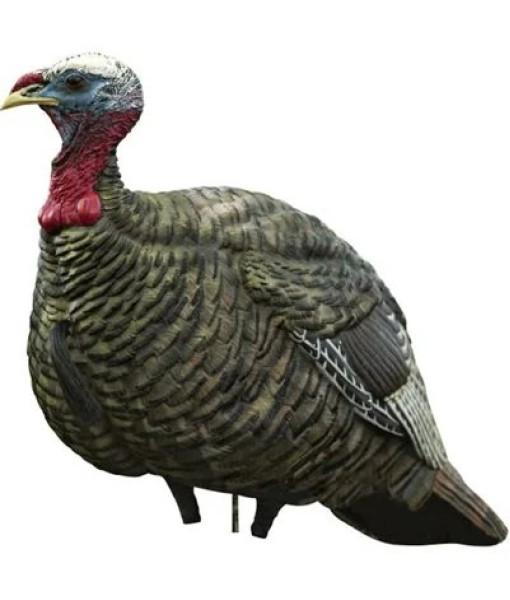 AVIAN-X LCD QUARTER STRUT JAKE