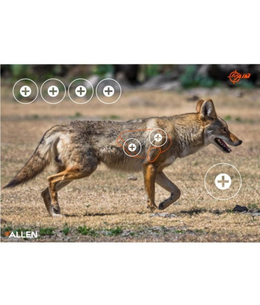 EZ AIM CIBLE PAPIER COYOTE 23X35'' 2UN