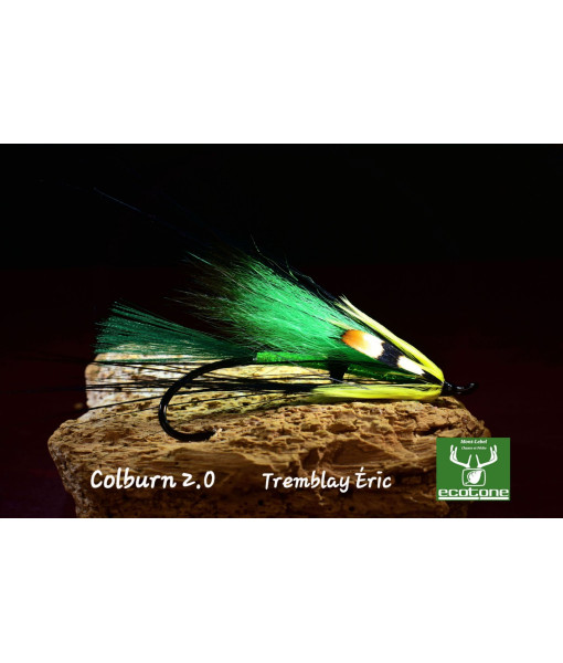MOUCHE ÉRIC TREMBLAY COLBURN 2.0