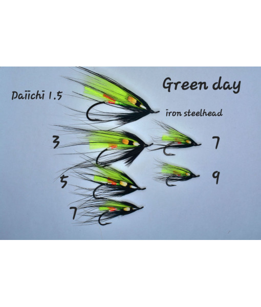 MOUCHE ÉRIC TREMBLAY GREEN DAY