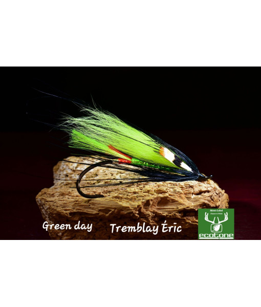 MOUCHE ÉRIC TREMBLAY GREEN DAY