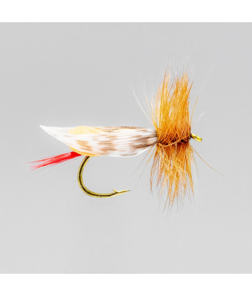 NEPTUNE FLIES ORANGE FOAM BODY #6