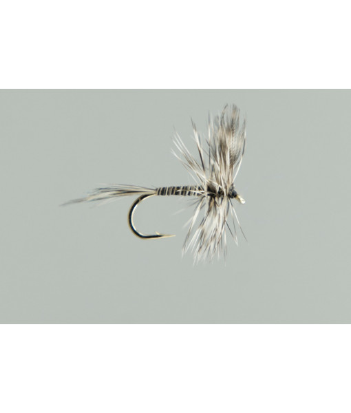 NEPTUNE FLIES MOSKITO #10