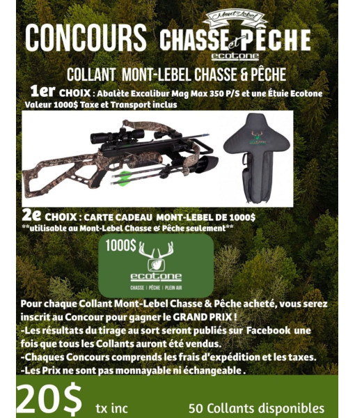 CONCOUR PROMOTIONNEL CARTE CADEAU OU EXCALIBUR MAGMAX