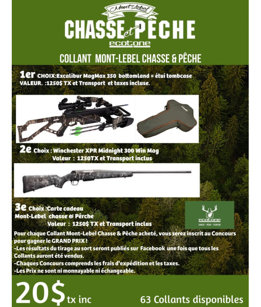 CONCOURS PUBLICITAIRE EXCALIBUR/WINCHESTER/CARTECADEAU
