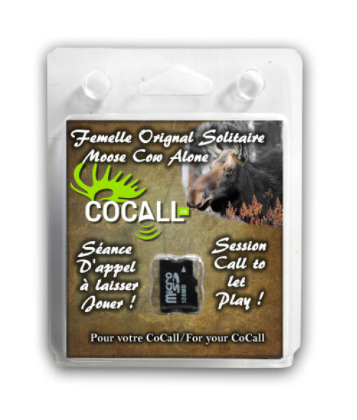 Cocall carte Femelle Orignal Solitaire